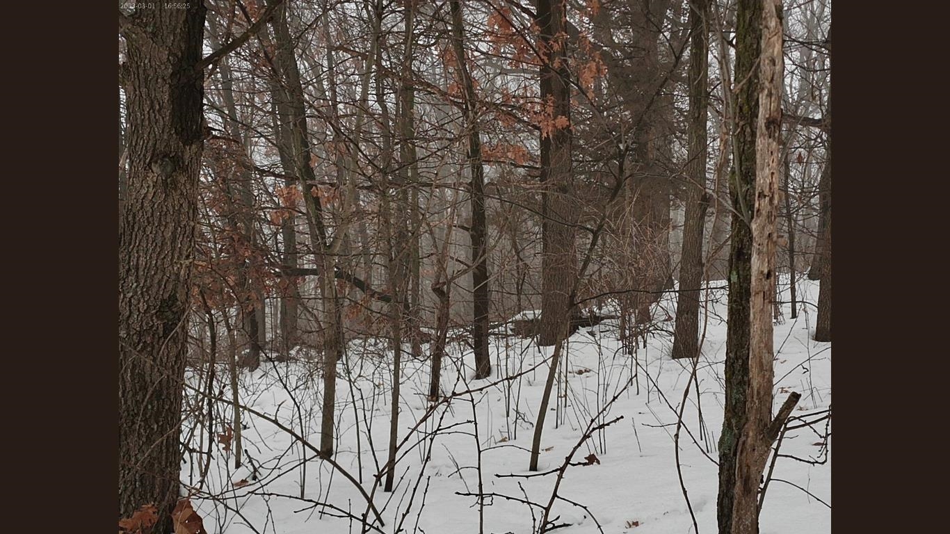 138 Peerless Road New Glarus, WI 53574 - Photo 14 of 28