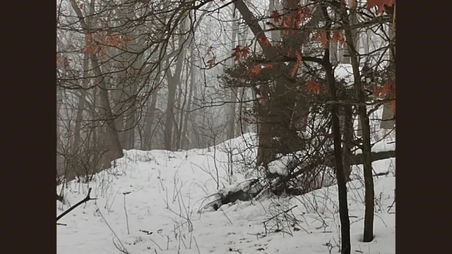 $379,000 | 138 Peerless Road, New Glarus, WI 53574