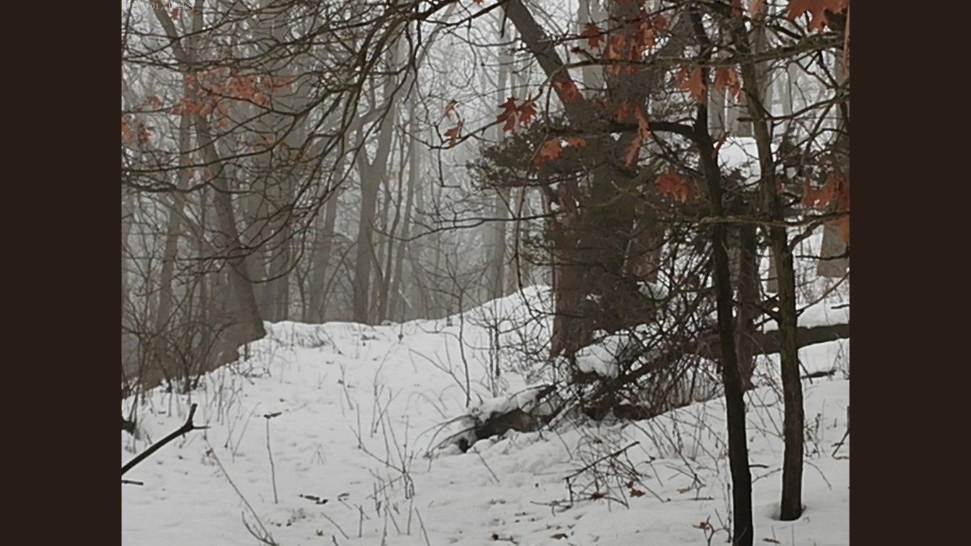 138 Peerless Road New Glarus, WI 53574 - Photo 15 of 28