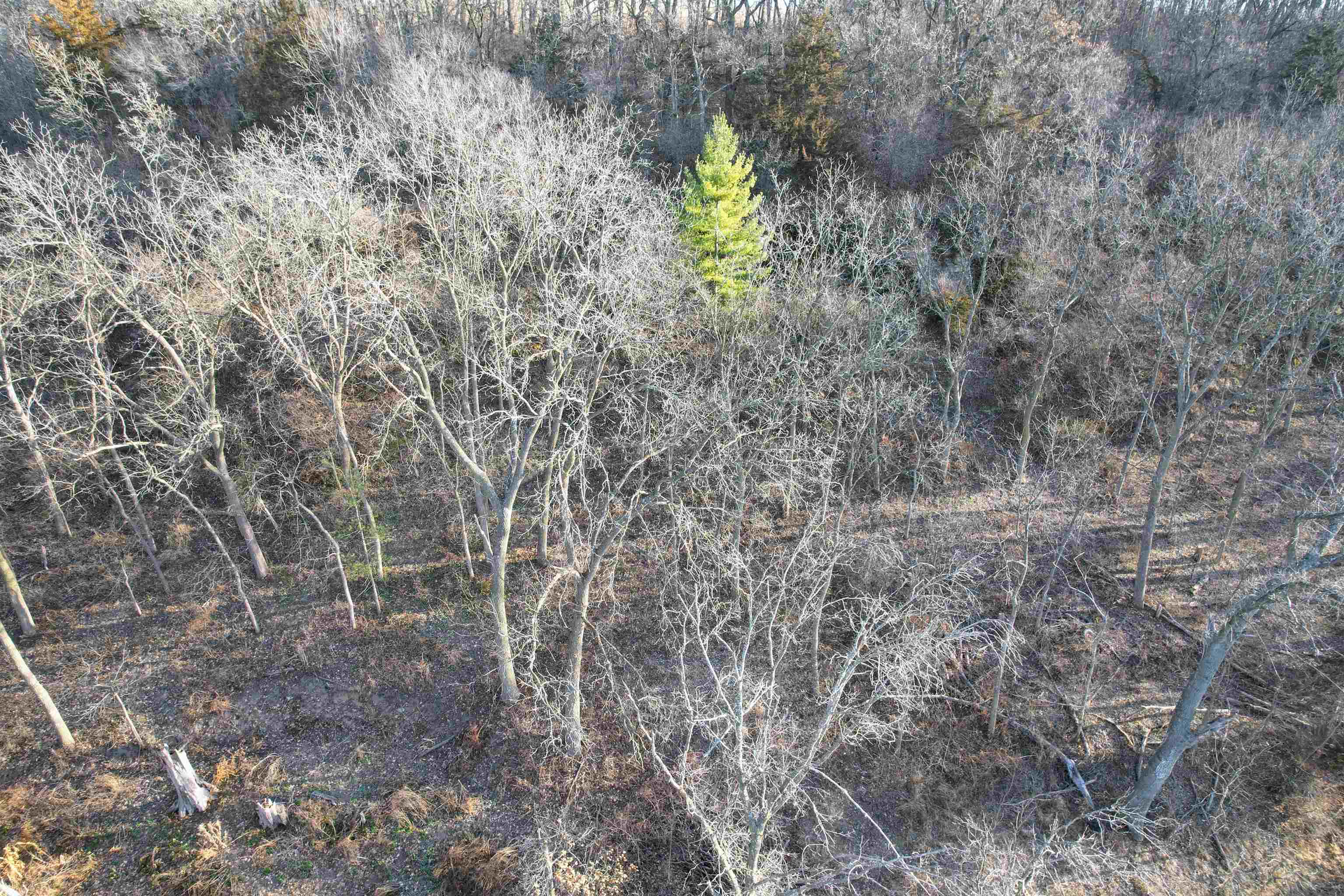 138 Peerless Road New Glarus, WI 53574 - Photo 5 of 28