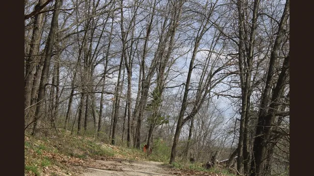 $379,000 | 138 Peerless Road, New Glarus, WI 53574