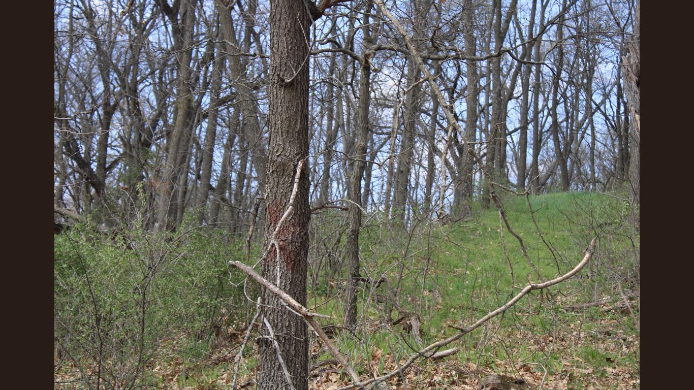 138 Peerless Road New Glarus, WI 53574 - Photo 8 of 28