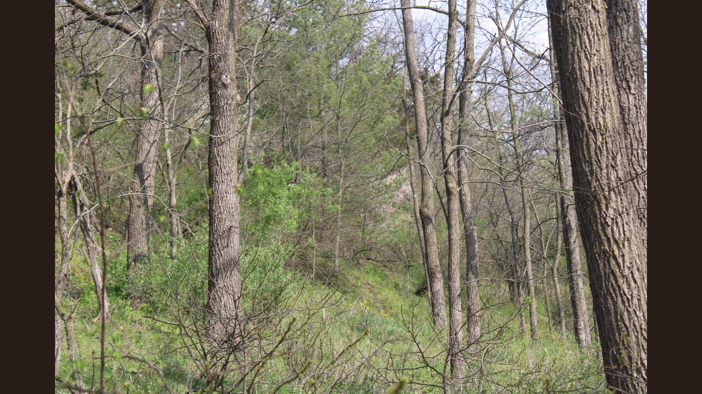 138 Peerless Road New Glarus, WI 53574 - Photo 9 of 28