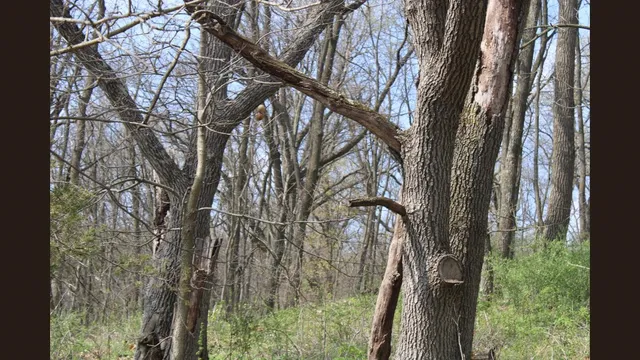 $379,000 | 138 Peerless Road, New Glarus, WI 53574