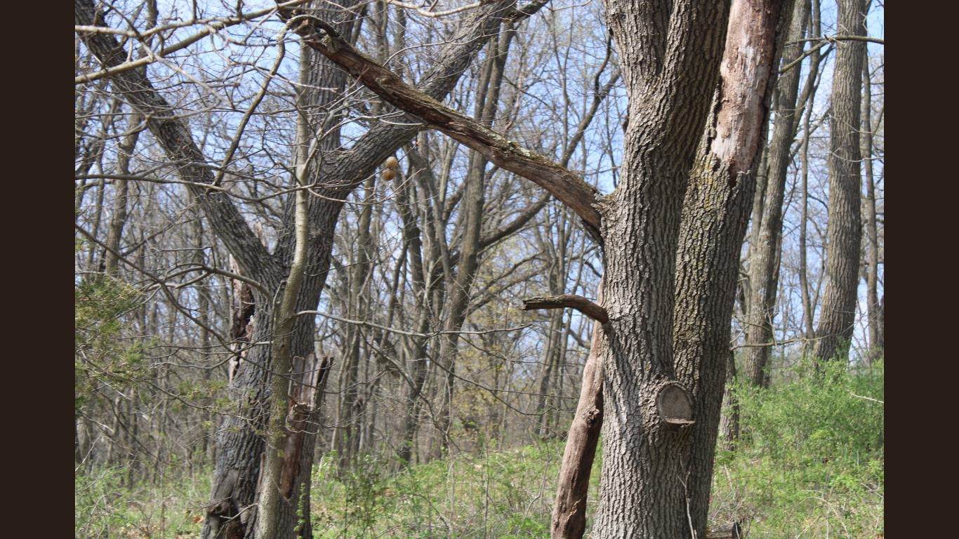 138 Peerless Road New Glarus, WI 53574 - Photo 10 of 28