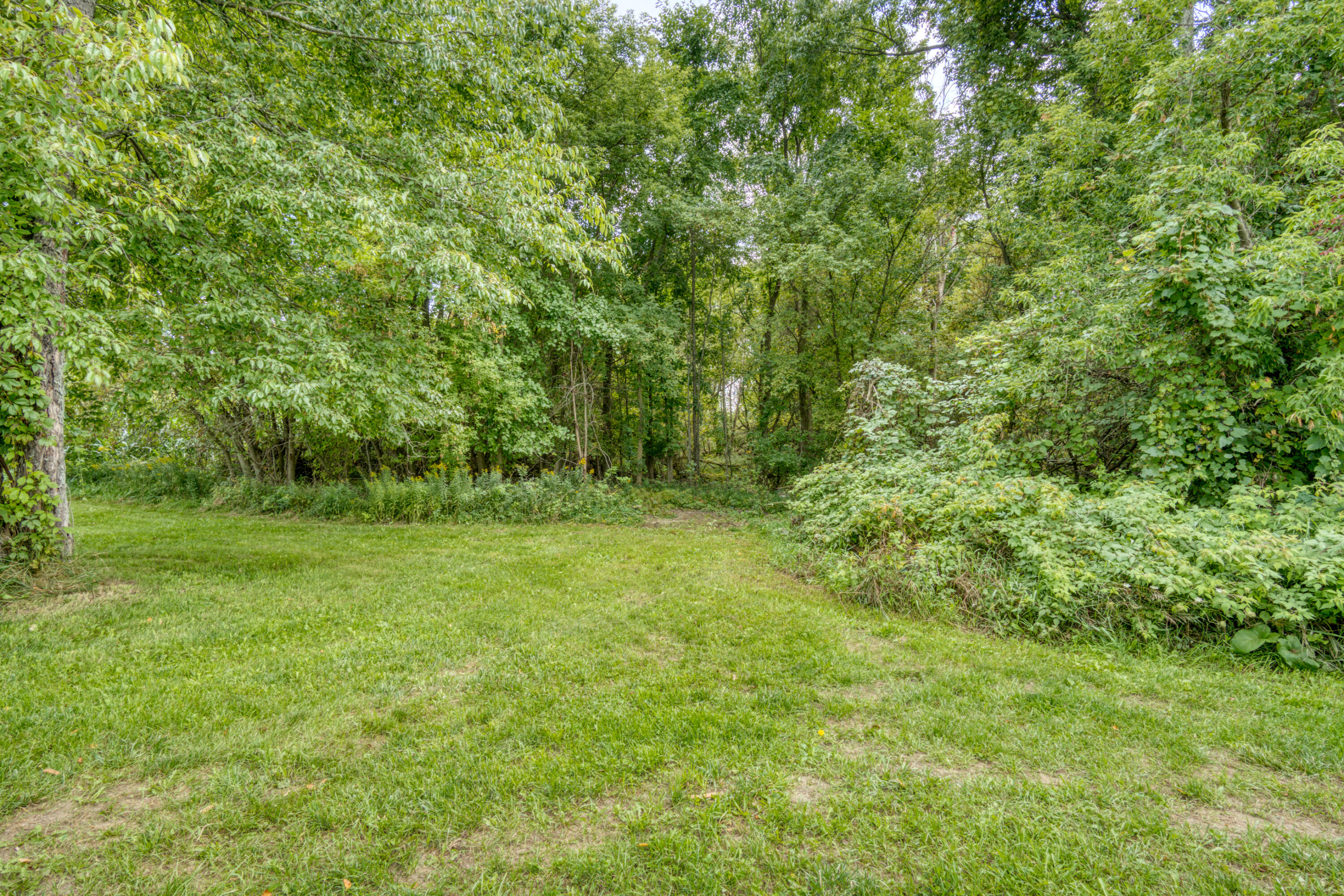 8699 South Coldwater Road Blanchard, MI 49310 - Photo 35 of 46 DSC07772_9