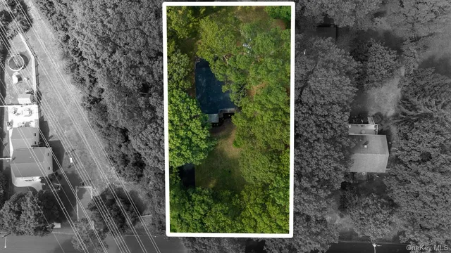 a view of a back yard