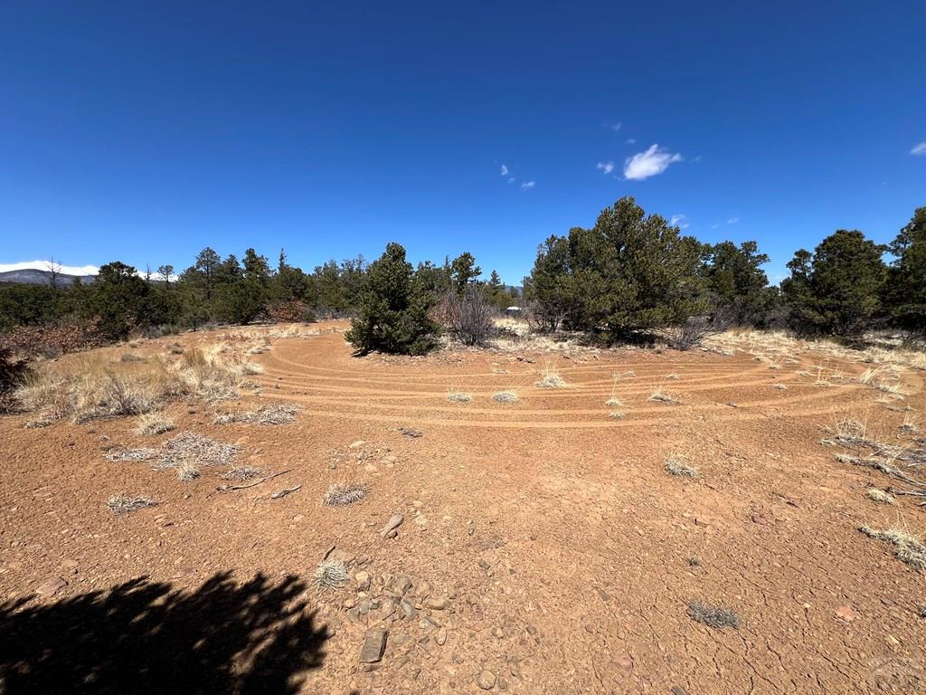 8315 Gun Barrel Ridge Weston, CO 81091 - Photo 11 of 18