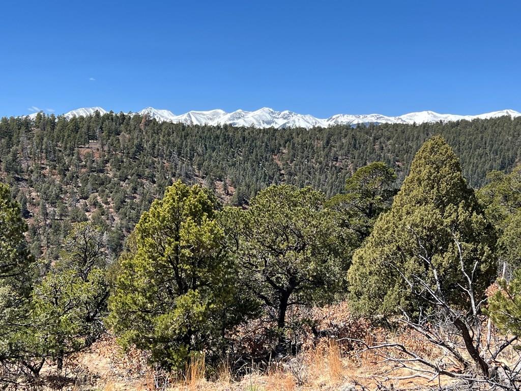 8315 Gun Barrel Ridge Weston, CO 81091 - Photo 4 of 18 a view of mountain view with sky view