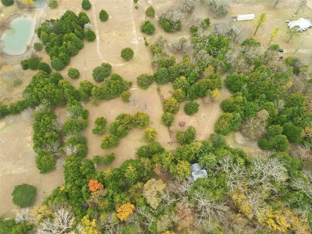 a view of a pathway both side of yard
