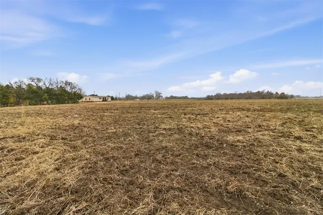 a view of outdoor space with swimming pool and trees in the background