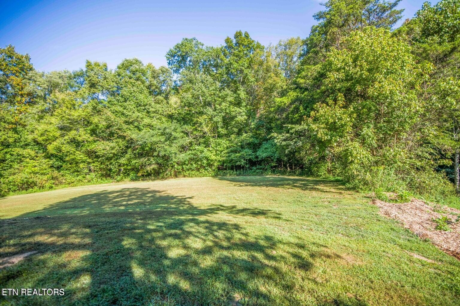 589 Possum Valley Road Maynardville, TN 37807 - Photo 46 of 49 a view of a yard with a tree