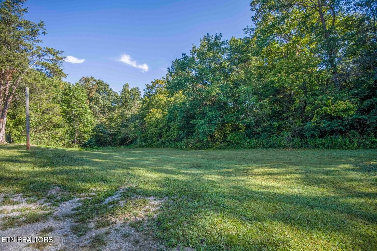 589 Possum Valley Road Maynardville, TN 37807 - Photo 49 of 49 a view of a grassy field with trees
