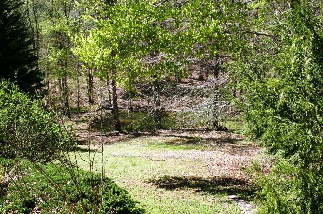 2047 Fairfield Road Henry, VA 24102 - Photo 3 of 34 BACKYARD