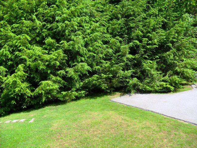 2047 Fairfield Road Henry, VA 24102 - Photo 33 of 34 BACKYARD
