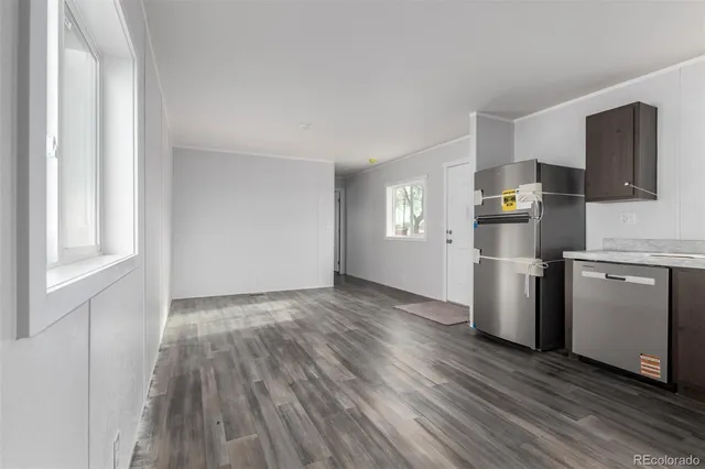 a view of backyard with large trees and a couch