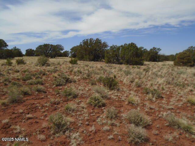 4089 East Oakdale Road Williams, AZ 86046 - Photo 5 of 11 a view of a city with lush green forest