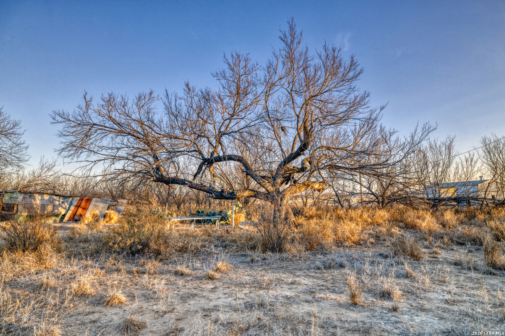 214 Cox Lane Road Carrizo Springs, TX 78834 - Photo 18 of 31 a backyard of a house with lots of green space