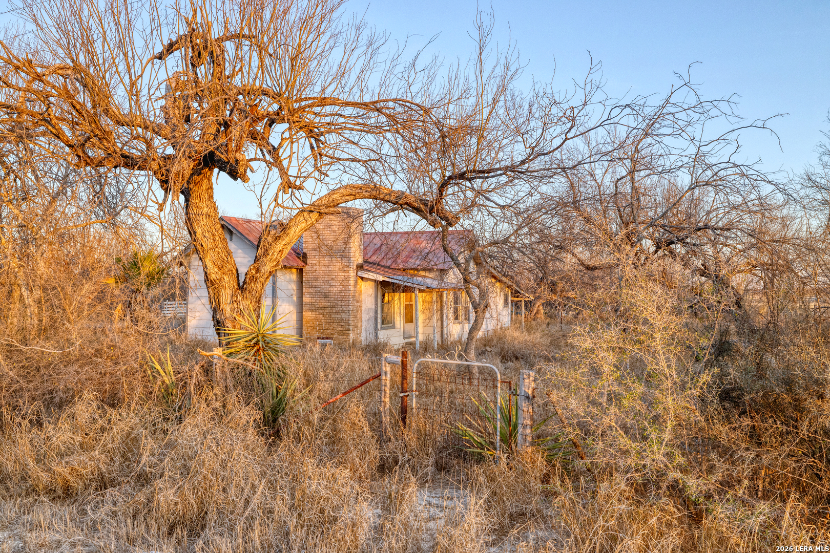 214 Cox Lane Road Carrizo Springs, TX 78834 - Photo 20 of 31 a backyard of a house with lots of green space