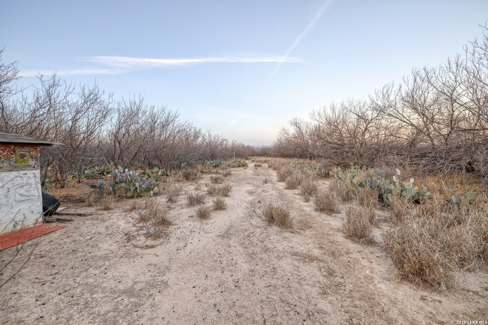 214 Cox Lane Road Carrizo Springs, TX 78834 - Photo 21 of 31 a view of a dry yard with trees