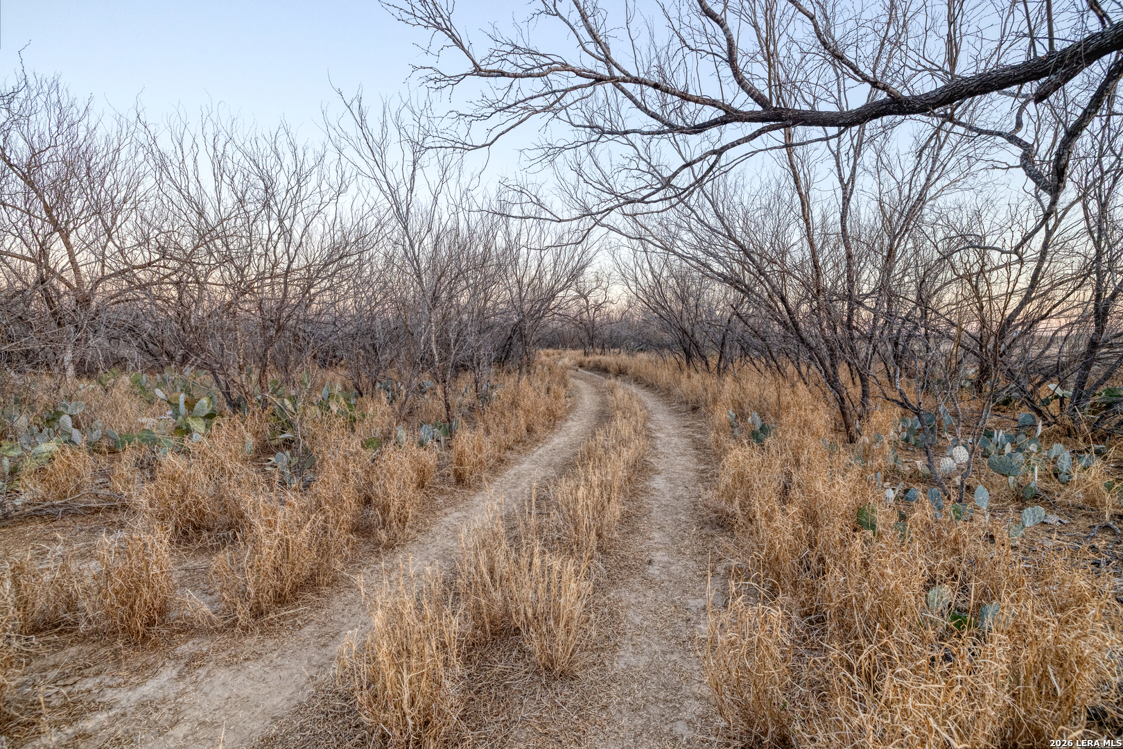 214 Cox Lane Road Carrizo Springs, TX 78834 - Photo 22 of 31 a view of a yard