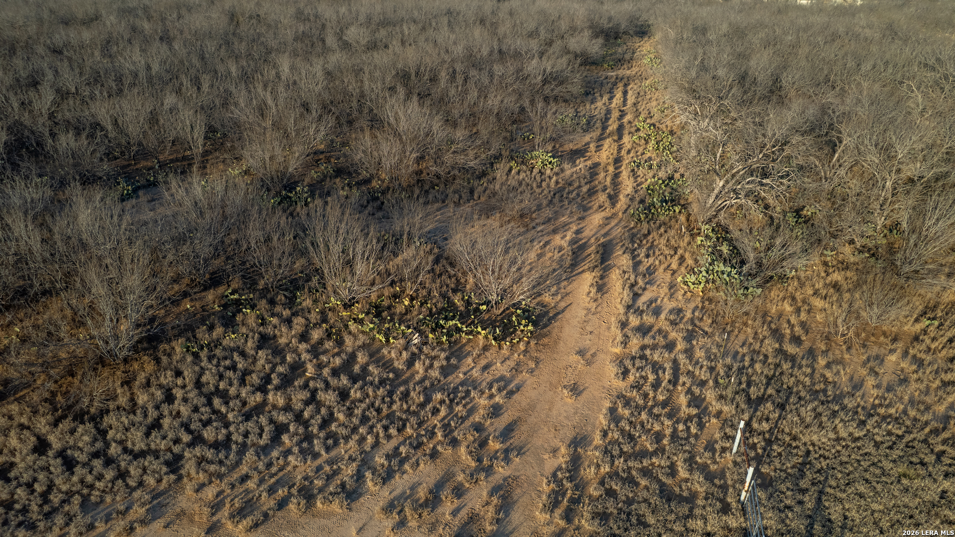 214 Cox Lane Road Carrizo Springs, TX 78834 - Photo 26 of 31 a view of a yard