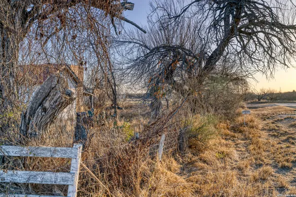 a backyard of a house with large trees