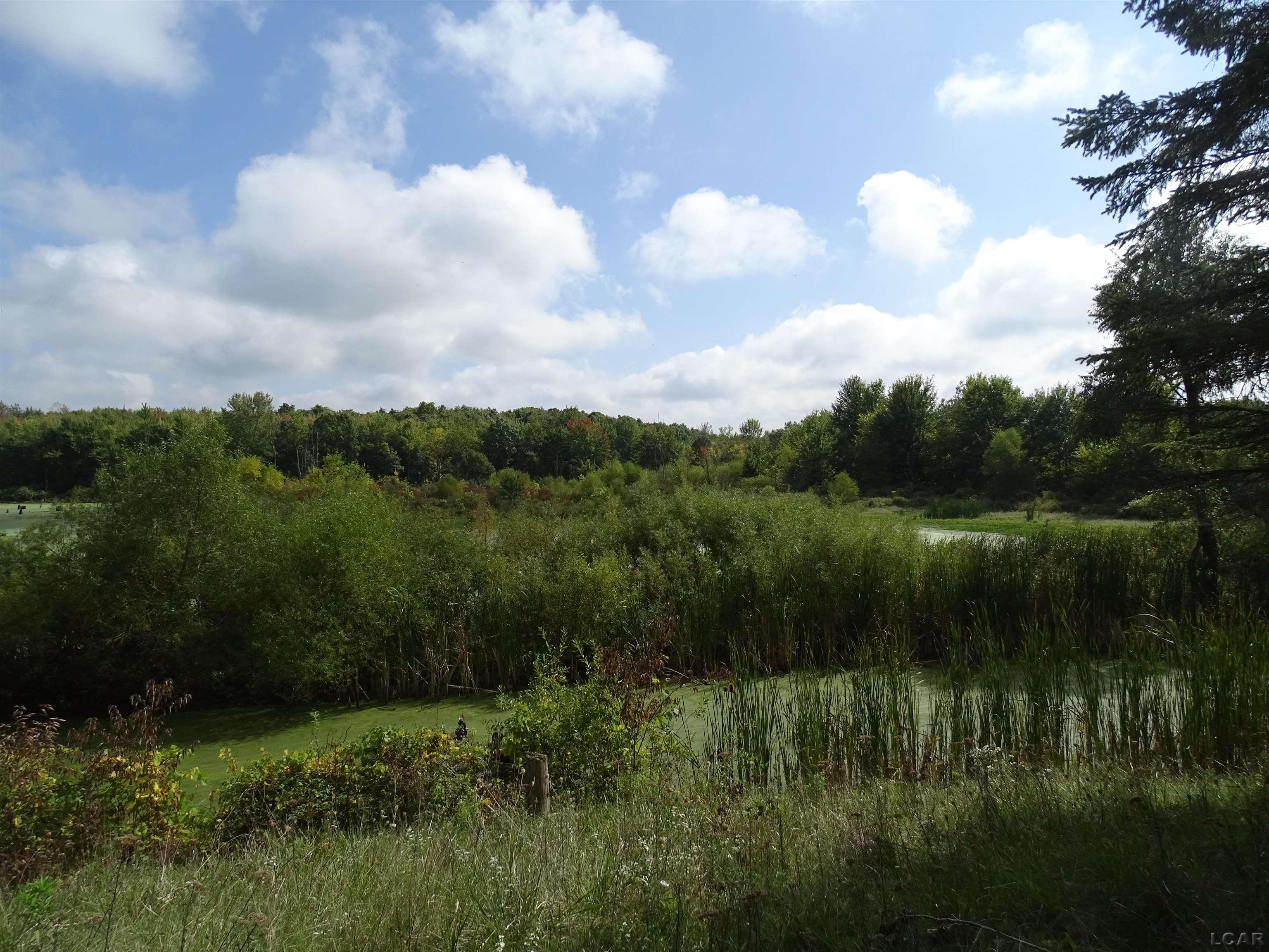 15411 Robison Road Camden, MI 49232 - Photo 14 of 17