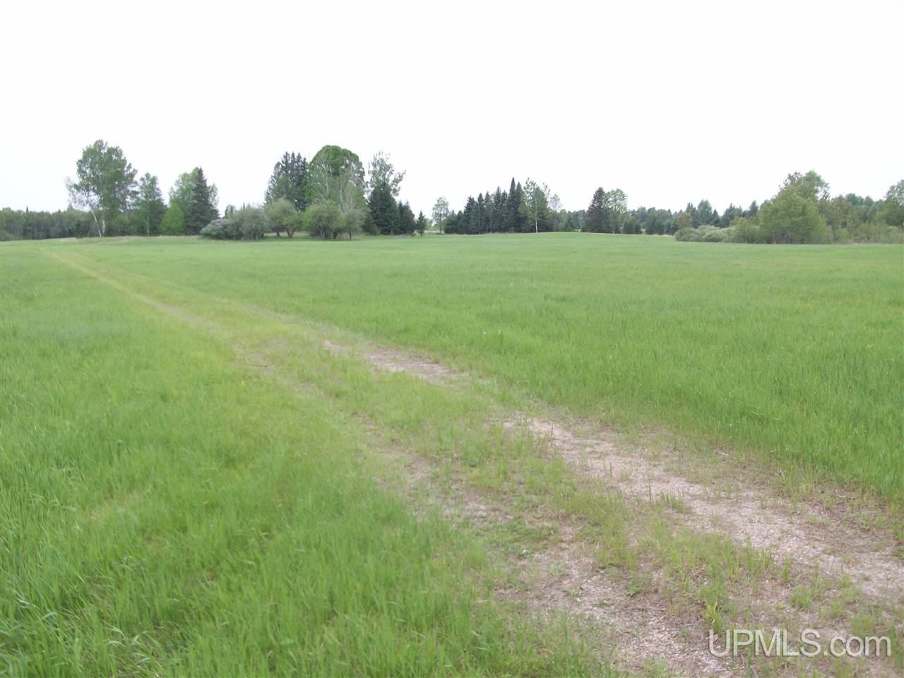 14525 Di Road Rock, MI 49880 - Photo 6 of 16