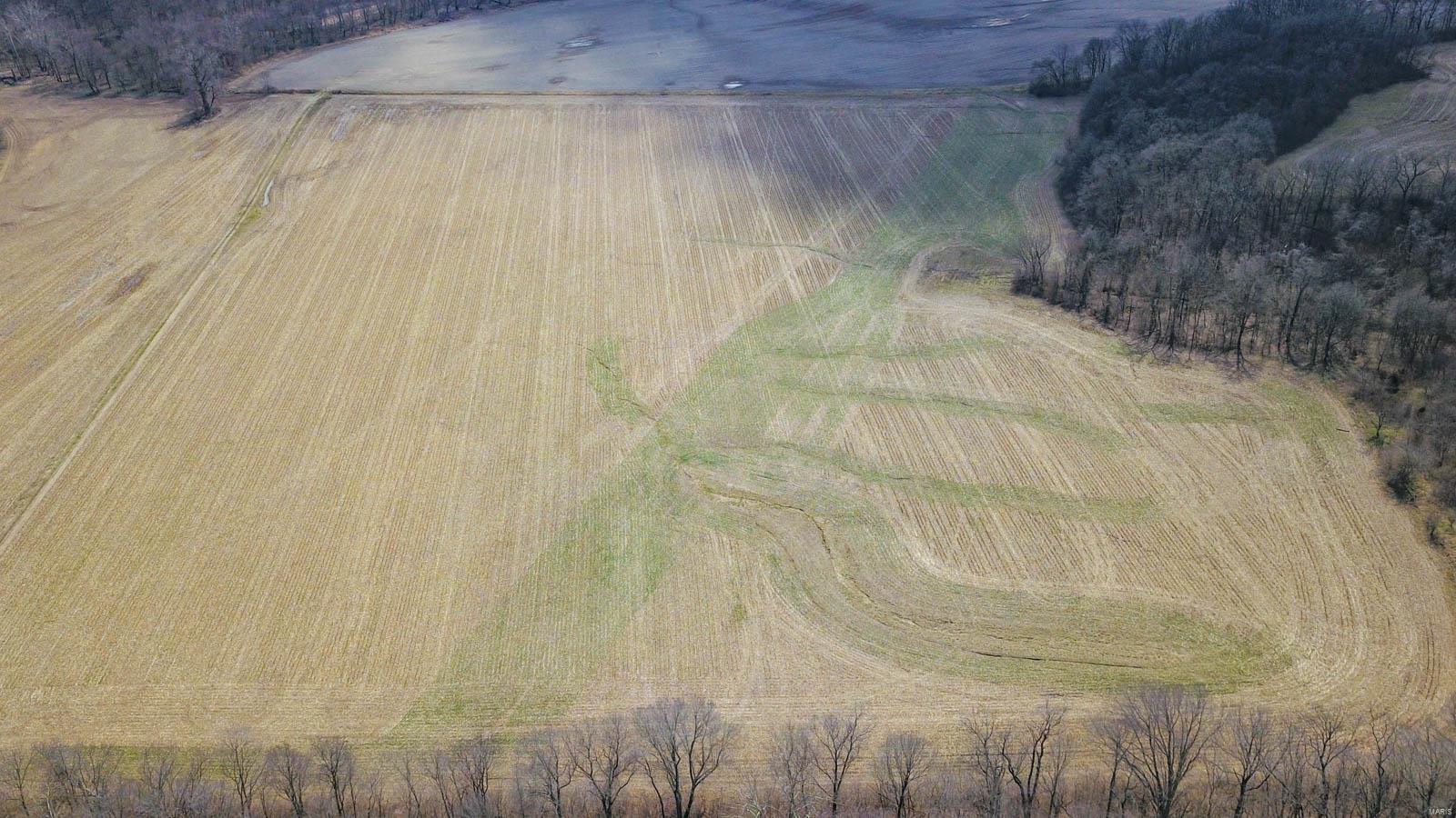 1 Airport Road Godfrey, IL 62035 - Photo 6 of 6