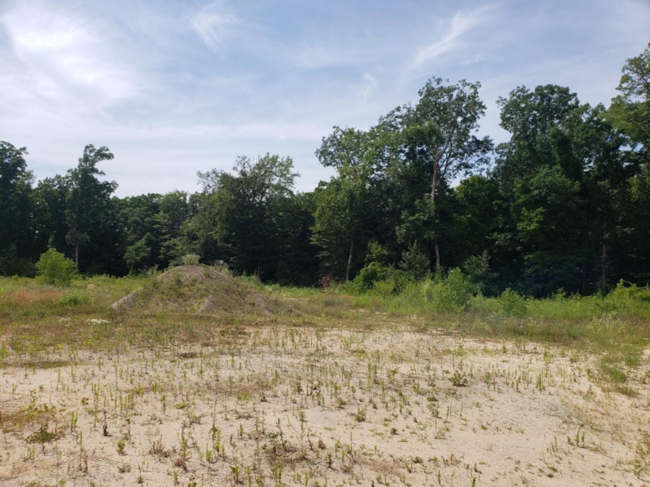 2152 Harwood Road Ionia, MI 48846 - Photo 5 of 13 thumbnail_20200714_155605
