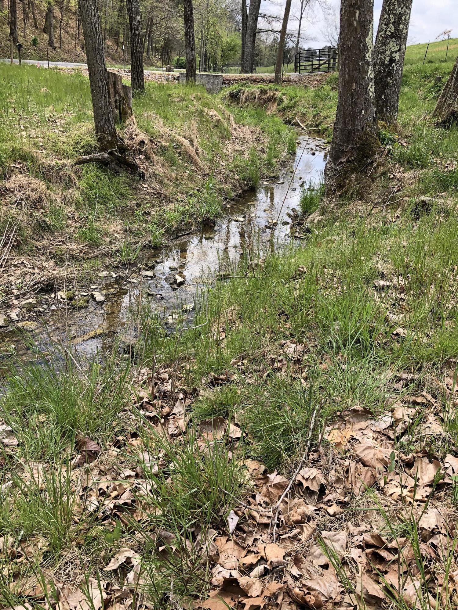 0 Valleydale Road Midway, TN 37809 - Photo 23 of 25 7D2B2D3D-1B46-43CF-BB48-06329BA8F98C