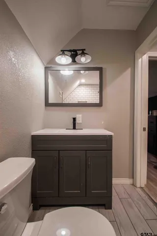 a bathroom with a sink a toilet and mirror