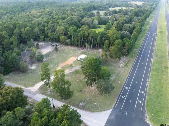 a view of a forest from a window