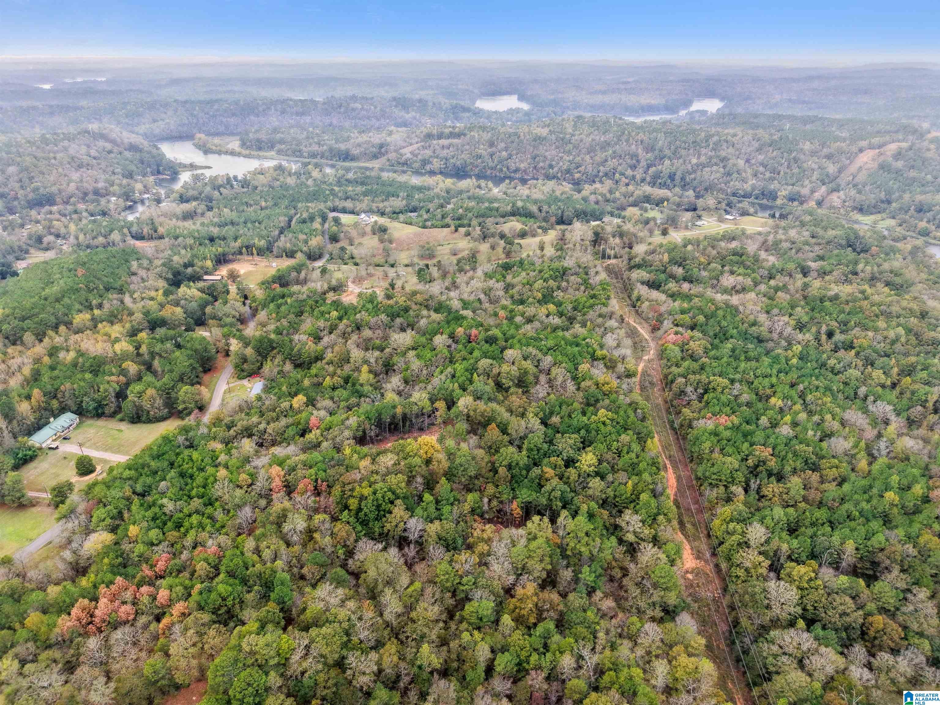 1215 Buddy Vines Camp Road Bessemer, AL 35023 - Photo 16 of 25