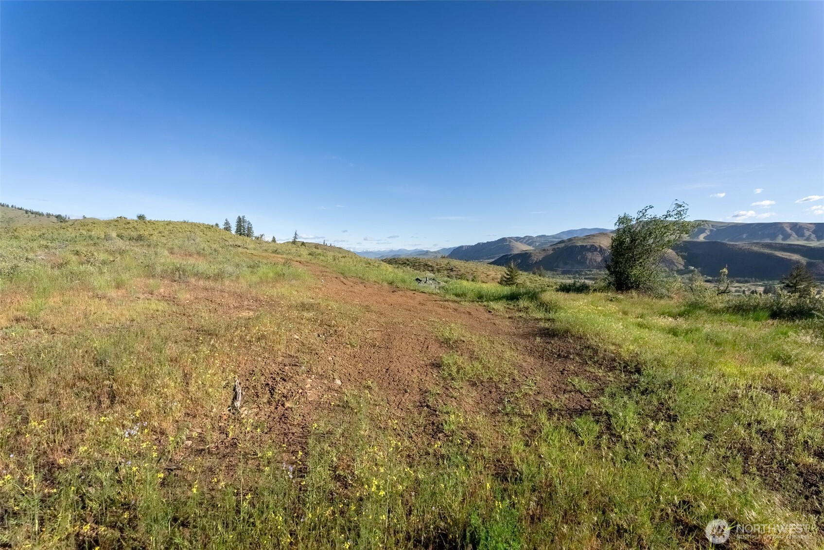 -tbd Alder Road Twisp, WA 98856 - Photo 3 of 39