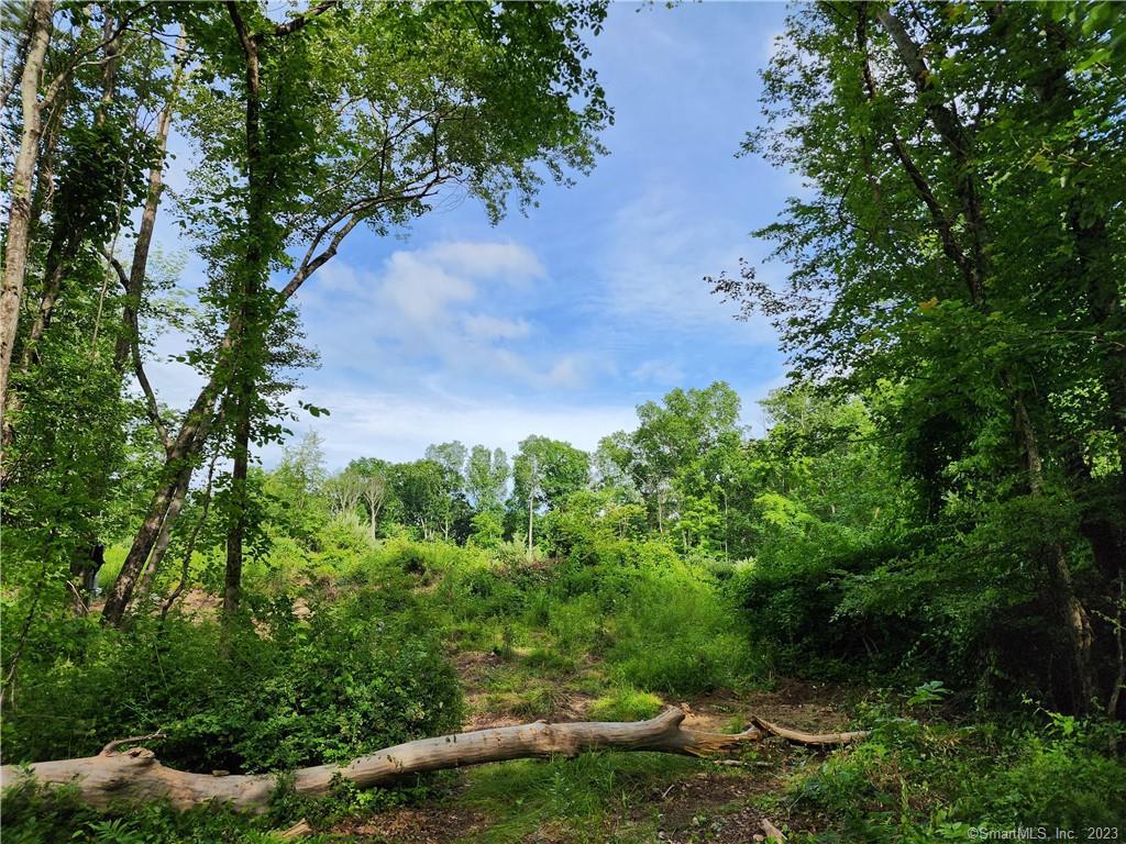111 Youngs Road Pomfret, CT 06259 - Photo 1 of 1 a view of a garden