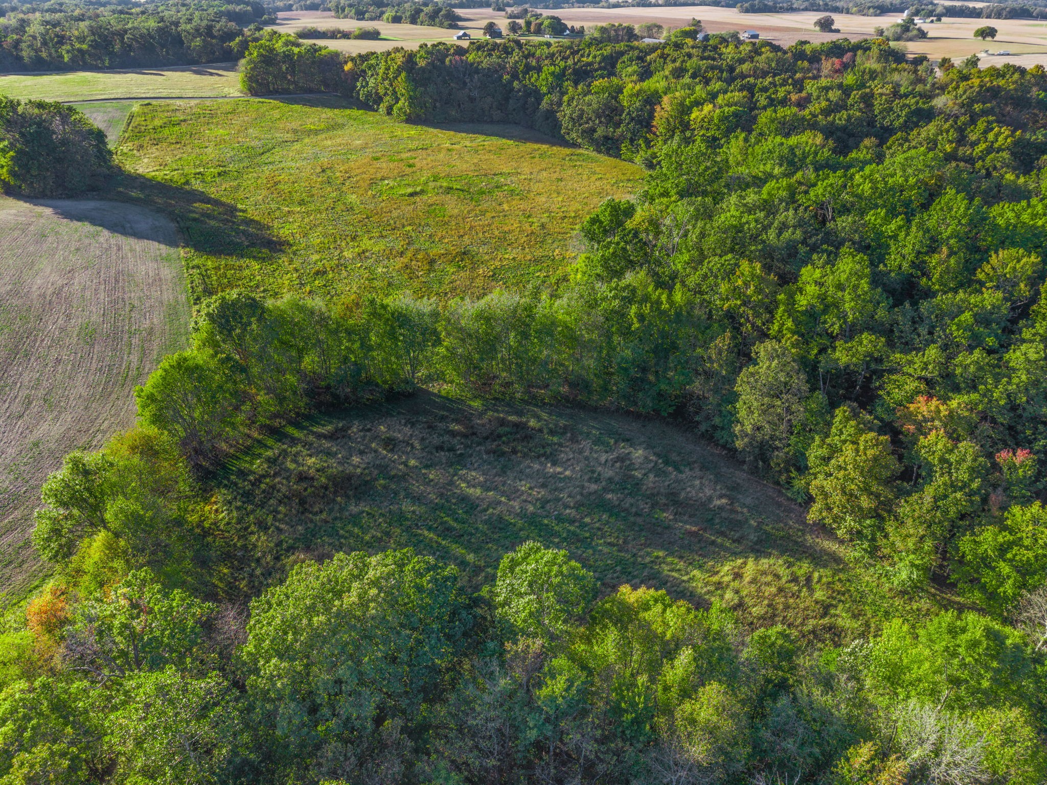 0 West State Line Road Adams, TN 37010 - Photo 6 of 13 Gallery Image 6