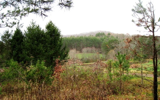 21.45 Lower Bear Paw Road Murphy, NC 28906 - Photo 1 of 1 Main View
