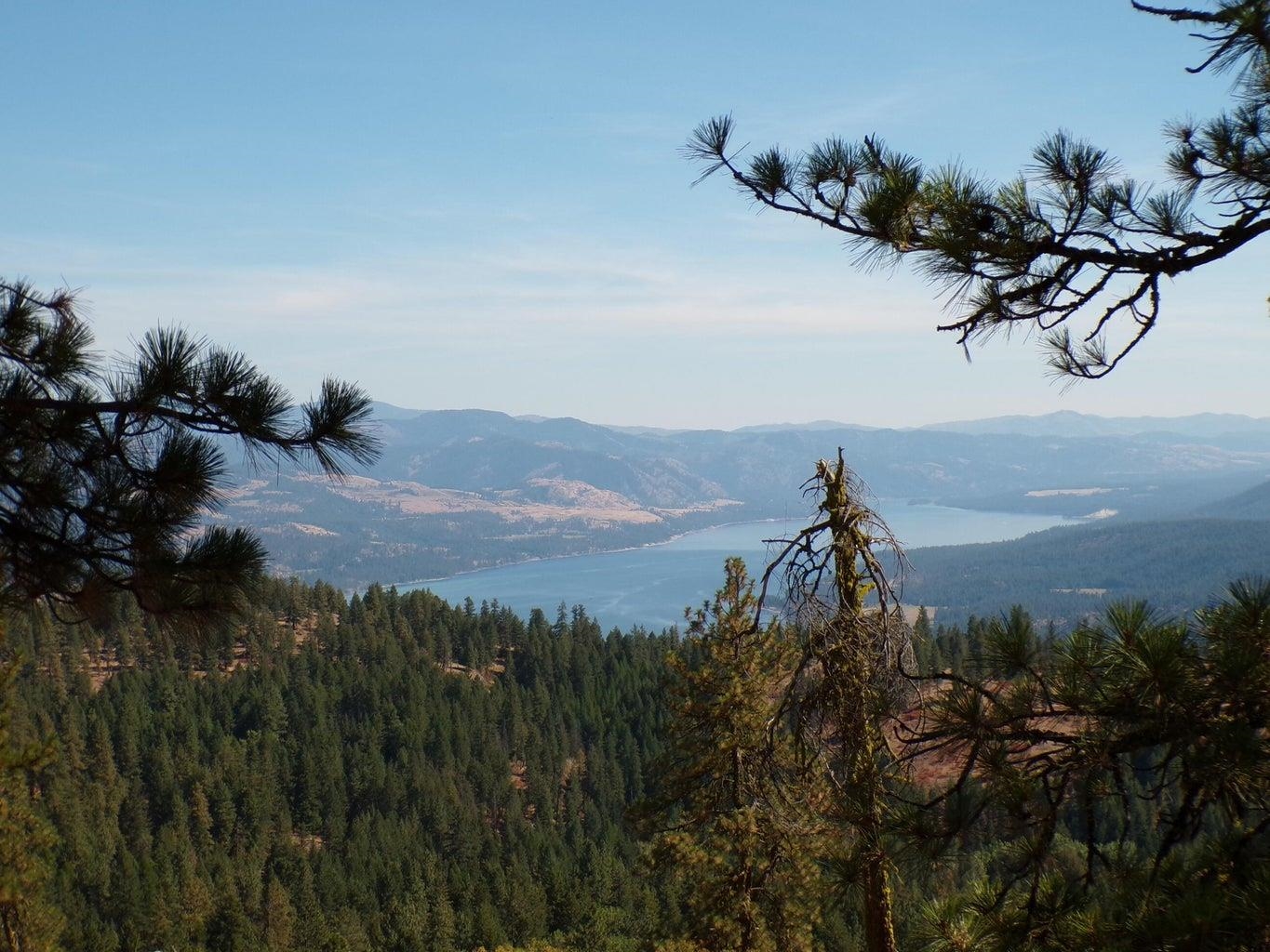 L L Morning Star Lane Inchelium, WA 99138 - Photo 1 of 11