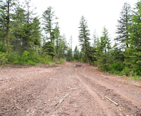 $75,000 | L L Morning Star Lane, Inchelium, WA 99138