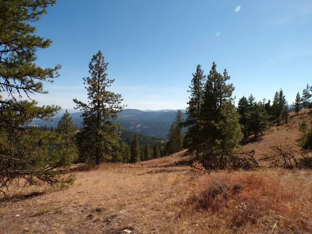 $75,000 | L L Morning Star Lane, Inchelium, WA 99138