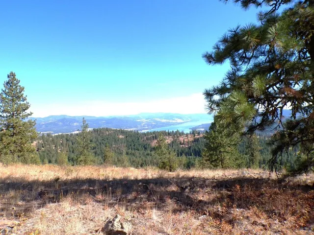 $75,000 | L L Morning Star Lane, Inchelium, WA 99138