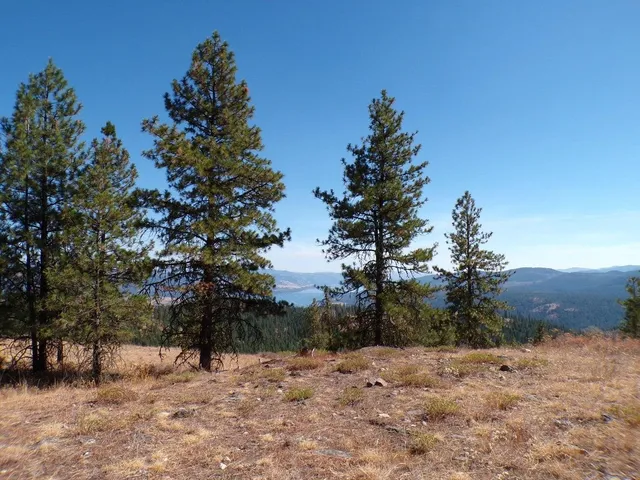 $75,000 | L L Morning Star Lane, Inchelium, WA 99138