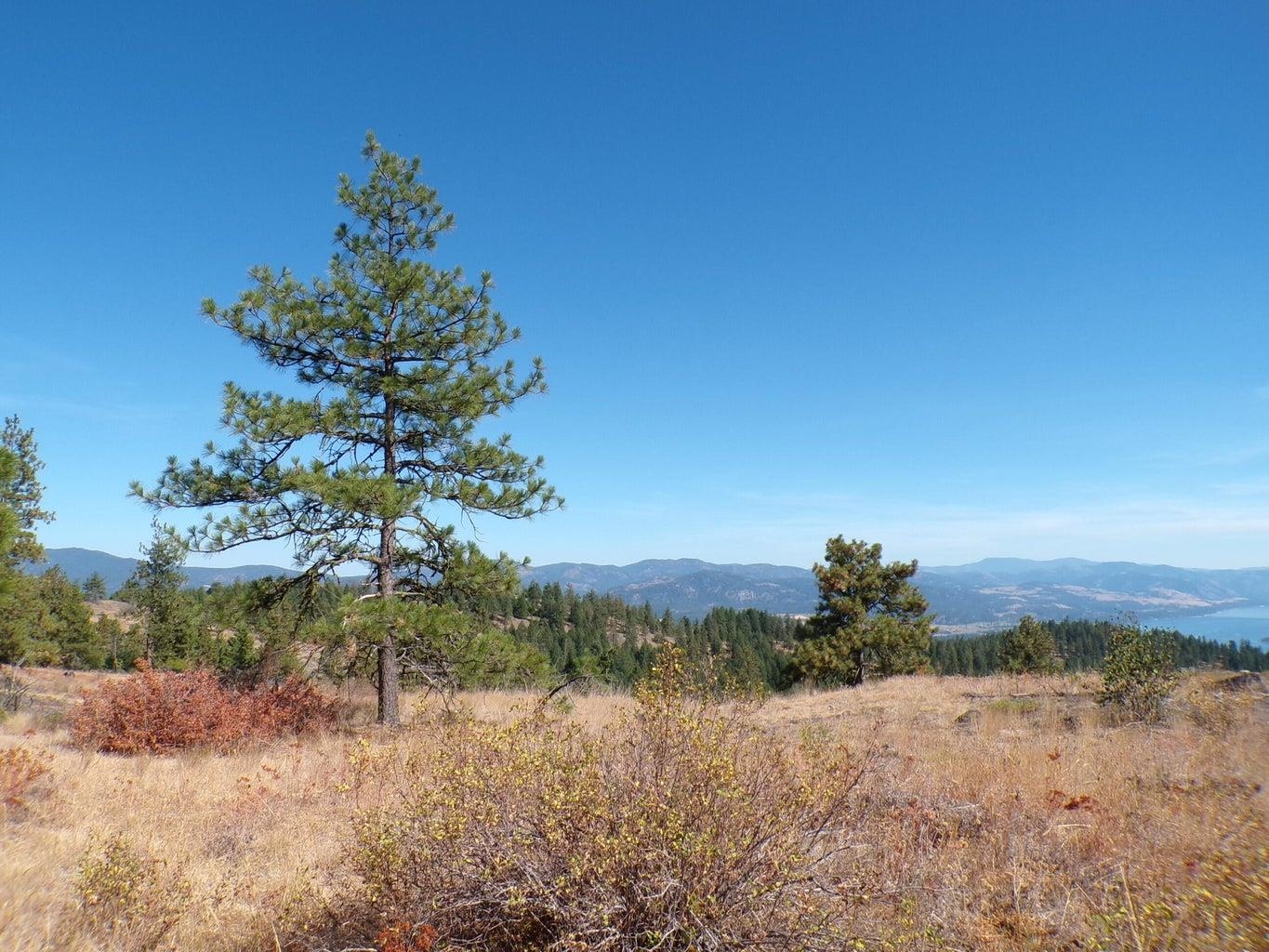 L L Morning Star Lane Inchelium, WA 99138 - Photo 5 of 11