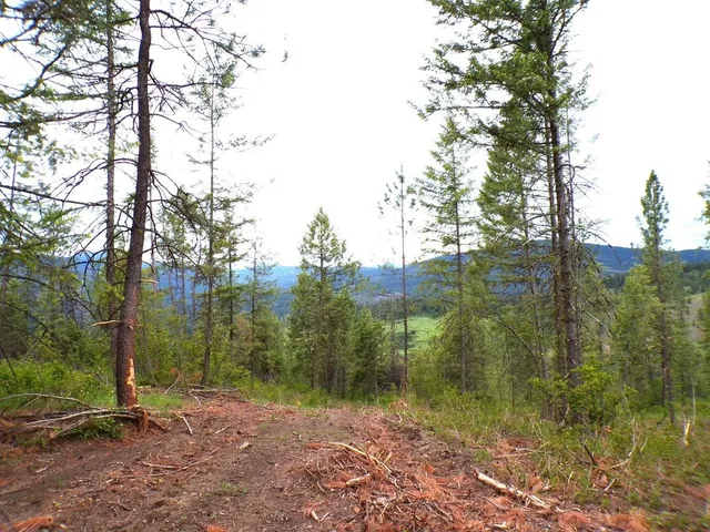 $75,000 | L L Morning Star Lane, Inchelium, WA 99138