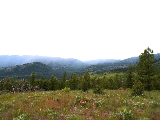 $75,000 | L L Morning Star Lane, Inchelium, WA 99138