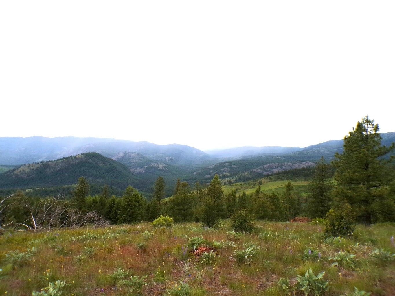 L L Morning Star Lane Inchelium, WA 99138 - Photo 8 of 11