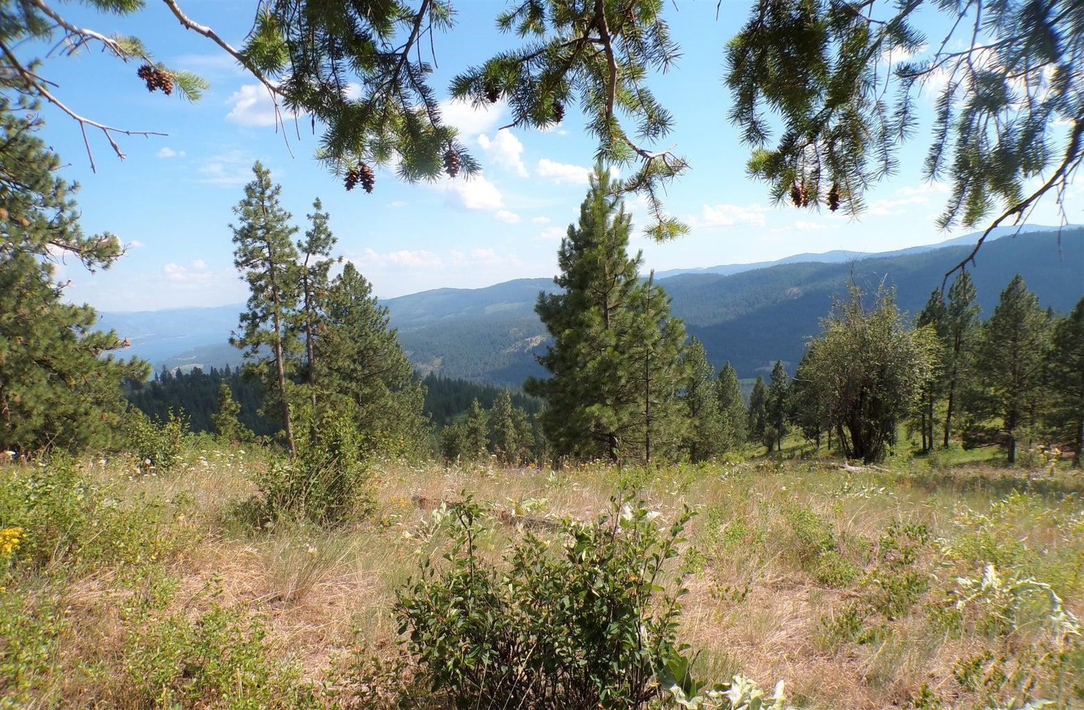 L L Morning Star Lane Inchelium, WA 99138 - Photo 9 of 11