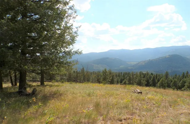 $75,000 | L L Morning Star Lane, Inchelium, WA 99138